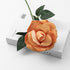 products/s-l1600_14e62591-65cb-478d-95ed-af46f3949407.jpg