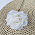 products/s-l1600_1578f254-962c-45b8-a099-18f89f5badb2.jpg