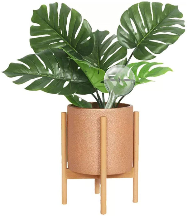 20Pcs Plant Water Bulbs Self Watering Globes Automatic Water Device Balls AUS