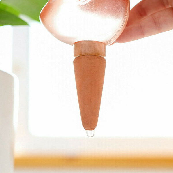 Plant Self Watering Spikes Pot Drip Irrigation Garden Tool Plant Waterer - Lets Party