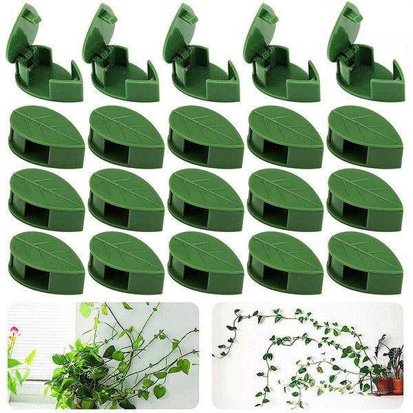 Invisible Wall Vines Fixture Sticky Hook Fixing Clip Climbing Plants Ties Holder - Lets Party