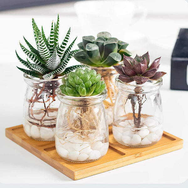 12/24/48/72X 100ML Glass Pudding Jars Yogurt Milk Jam Parfait Dessert Glass Jars