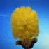 products/s-l1600_20793baa-0f77-4b7b-a6c0-f64eacc0691b.gif