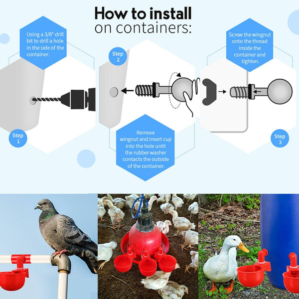 8x Automatic Chicken Water Cup Waterer Poultry Drinking Bowl Feeder Drinker Tool