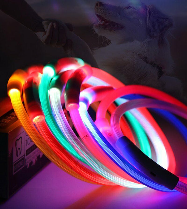 USB Rechargeable LED Dog Collar Night Glow Flashing Light Up Safety Pet Collars