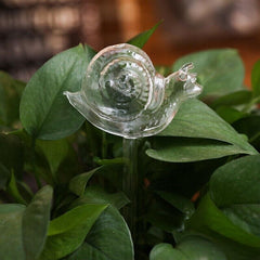 Plant Watering Globes 4pk – Self-Watering Glass Bulbs