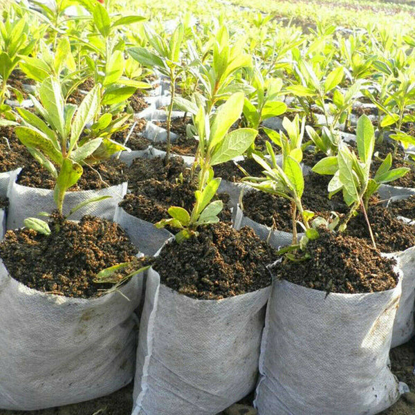 400X Garden Plant Nursery Bags Yard Plant Holder Grow Seedling Planting Pots - Lets Party