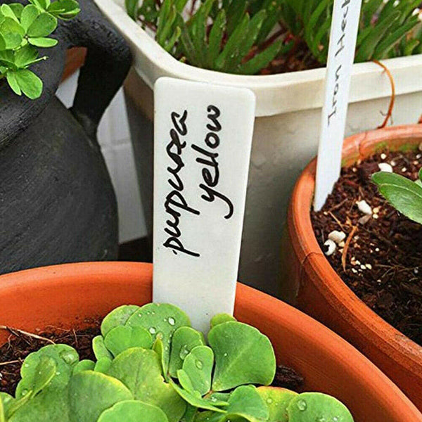 100Pcs PVC Plant Marker Labels Flexible Plastic Tag Seedlings Waterproof Garden - Lets Party