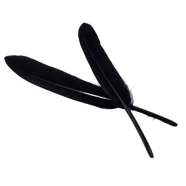 50pcs Black 10-15cm Goose Feathers DIY Craft Cake Party Wedding Decoration AU