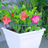 products/s-l1600_2c6b5cfb-24ee-4459-ad7c-06ab4ad1b2c3.jpg