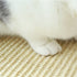 products/s-l1600_2fdb7fc8-988f-459c-8442-fbf339931cc2.jpg