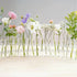 products/s-l1600_35b42386-41f7-4022-bb3b-adf828063328.jpg