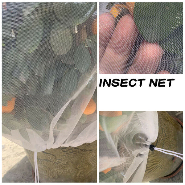 Fruit Fly Net Insect mesh Vegetable Garden Plant Crop Protection Cover Bags AU