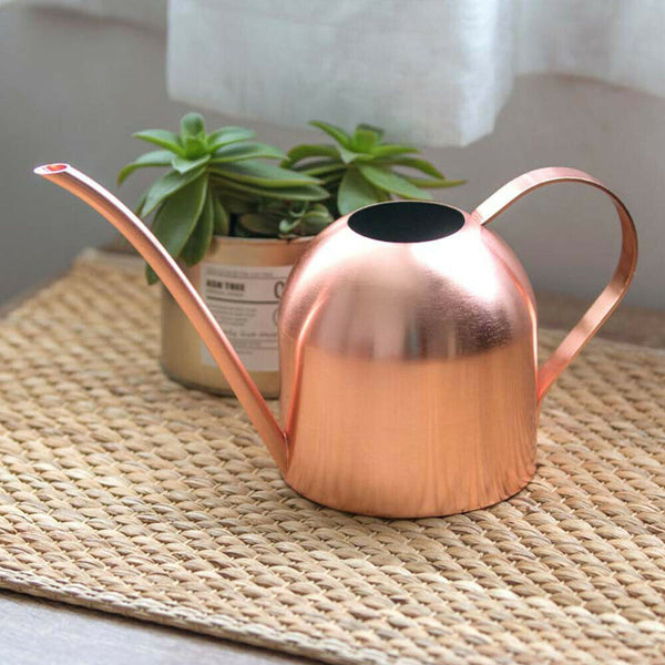 500ml Small Indoor Watering Can for House Plants Stainless Pot w/ Long Spout - Lets Party