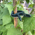 products/s-l1600_3af0a072-8ff7-4898-9199-72a7a633aa3c.jpg
