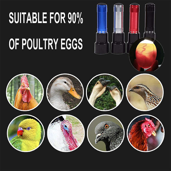 Super Bright Egg Candler Tester Incubator Lamp Light Dark Hatching Eggs Candling