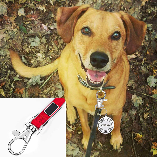 10PCS Alloy Swivel Lobster Clasp Clips Hook Key Ring Split Keychain Durable DIY