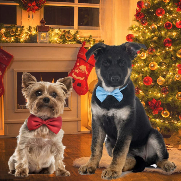 10/50/100PCS Wholesale Pet Dog Puppy Cat Necktie Bow Ties Collar Grooming Out AU