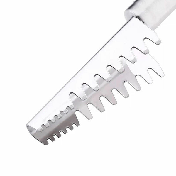 Fish Scale Scaler Scraper   Remover Cleaner  Kitchen Tool Stainless Steel