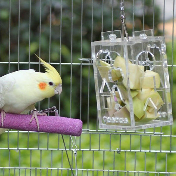 Birds Acrylic Food Fruits Accessory Foraging Feeder Cage Parrot Toys