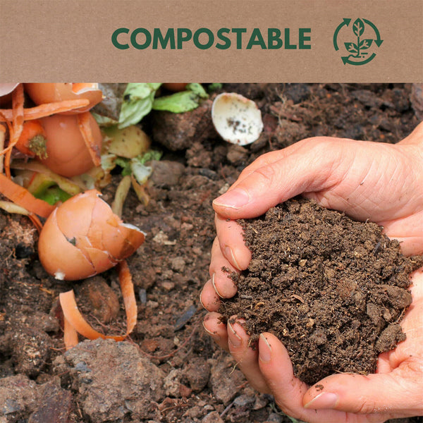 100-2000x Recycle Disposable Wooden Forks Eco friendly Compostable Wedding Party