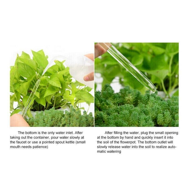 Automatic Self Plant Watering Glass Bulbs Water Feeder Indoor Irrigation Outdoor