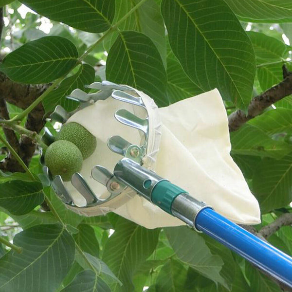 Fruit Pickers Picker Tool Picking Tool Fruit Harvest Picking Horticultural Apple