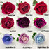 products/s-l1600_4ae10591-388f-48f2-b554-d90dcb1bb5e1.jpg