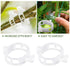 100x Tomato Greenhouse Garden Plant Support Veggie Clips Trellis Twine Clear AU