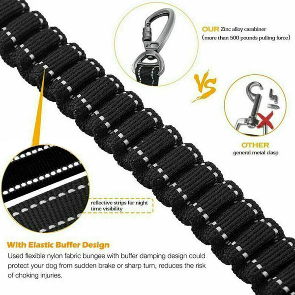 Elastic Bungee Dog Lead Anti Shock Dogs Walking Training Anti-Lost Stretch Leash