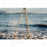 products/s-l1600_52d1685a-43e1-400d-842a-b5fd91c6694c.jpg