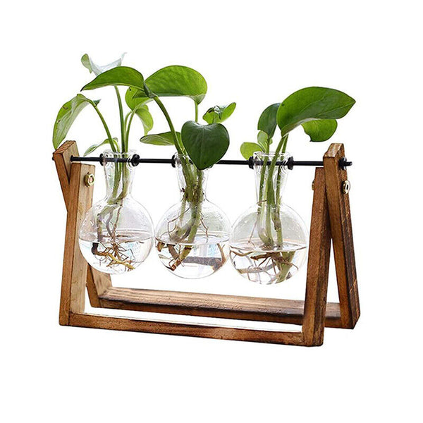 Wooden Stand Hanging Glass Vase Terrarium Hydroponics Container Pot Decor AU