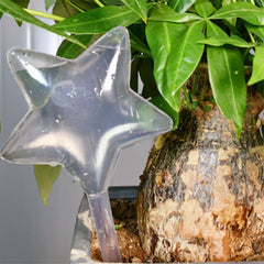 Plant Watering Globes 4pk – Self-Watering Glass Bulbs