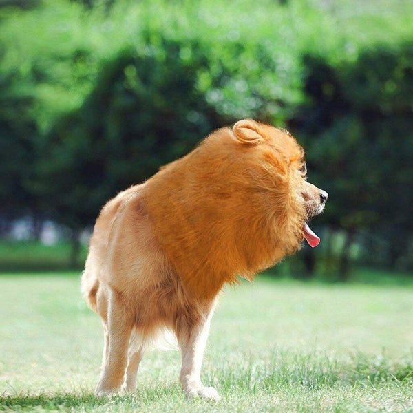 Pet Large Lion Costume Mane Wig Dog Fancy Dress Up Party for Halloween ClothesAU