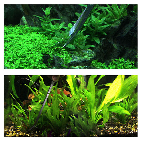 48CM Aquarium Fish Tank Stainless Tweezers Curve Straight Extra Long Tongs Plant