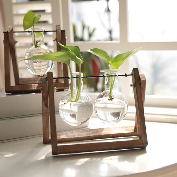 Wooden Stand Hanging Glass Vase Terrarium Hydroponics Container Pot Decor AU