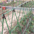 products/s-l1600_5d8a7925-1582-4a1c-a59f-7de97d1aa0d8.jpg