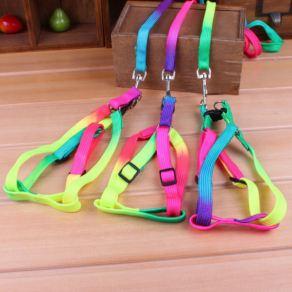 3pcs Nylon Small Mini Pet Adjustable Harness Lead Leash Collar Belt Safety Walk