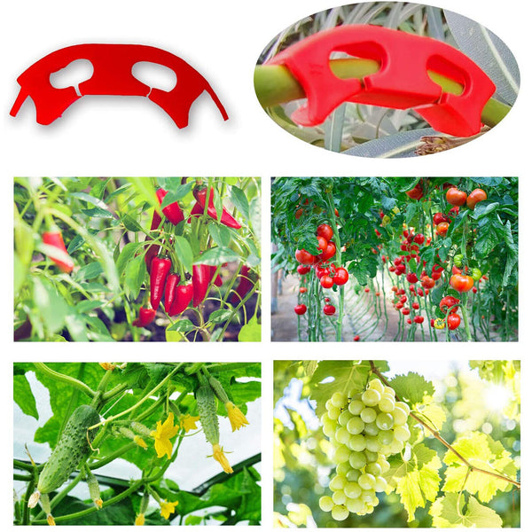 100Pcs Tomato Greenhouse Garden Plant Support Veggie Clip Trellis Twine AU