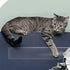 products/s-l1600_690d37dd-f72e-4988-ab22-92dfd6a9b348.jpg
