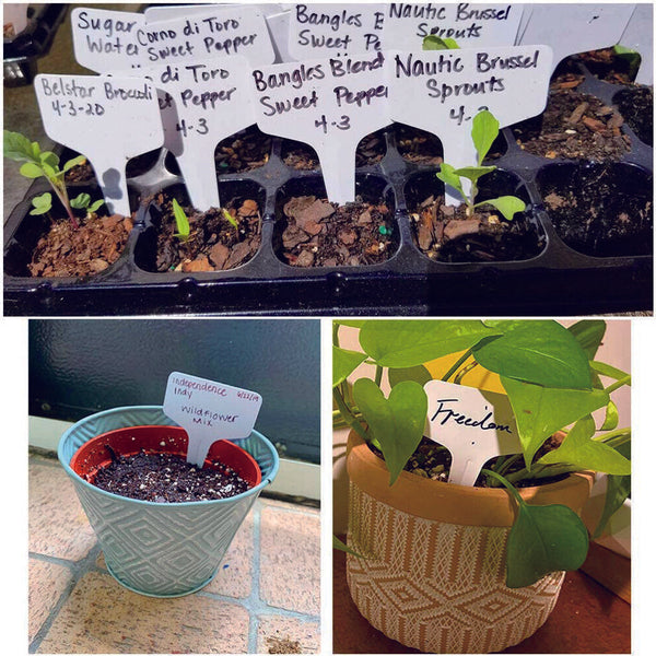 T-type Plant Labels Flexible Plastic Garden Tags Nursey Seeding Marker Pen White - Lets Party