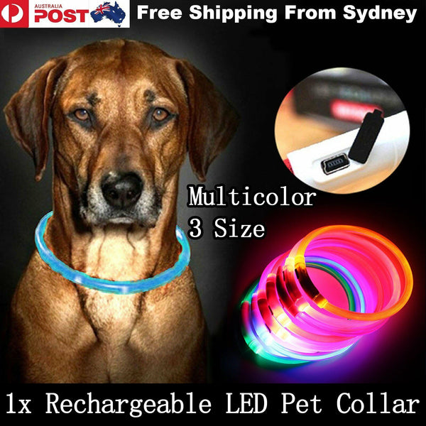 USB Rechargeable LED Dog Collar Night Glow Flashing Light Up Safety Pet Collars