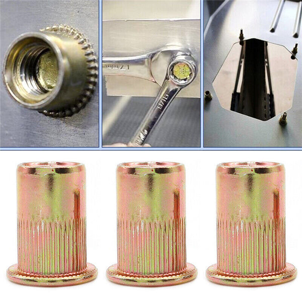 50-100x Rivet Nut Bolt Steel Rivets Tool Flange Blind Nutserts Flat Zinc Plating