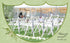 products/s-l1600_6f18cacb-22e8-4bbc-8dd0-69bd8d966906.jpg