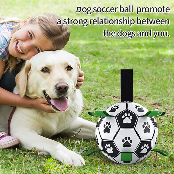 Interactive Toy w/Grab Water Tabs Tug Pet Football Dog Soccer Ball w/Pump