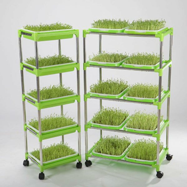 Trays seedling Starter Tray Basket Germination Plant Grow Basket Seed SprouterAU