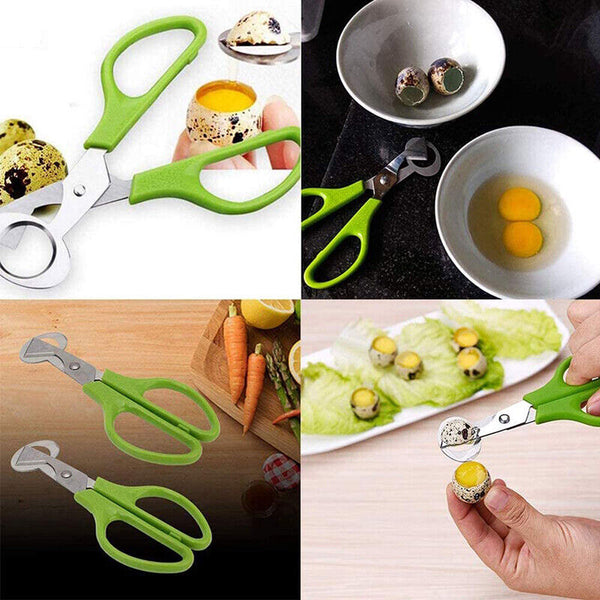 Pigeon Quail Egg Scissors Cracker Opener Cigar Cutter Tool Stainless Steel AU
