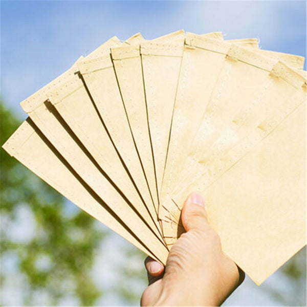 Kraft Paper Seed Packets Garden Home Storage Bags Mini Envelopes 6x11cm