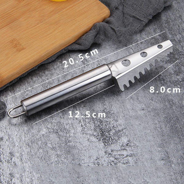 Fish Scale Scaler Scraper   Remover Cleaner  Kitchen Tool Stainless Steel