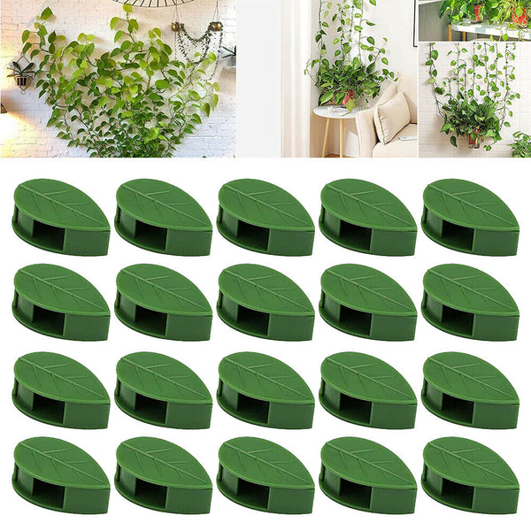 Invisible Wall Vines Fixture Sticky Hook Fixing Clip Climbing Plants Ties Holder - Lets Party